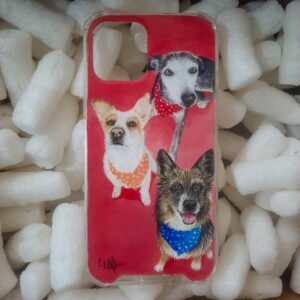 Cases personalizados